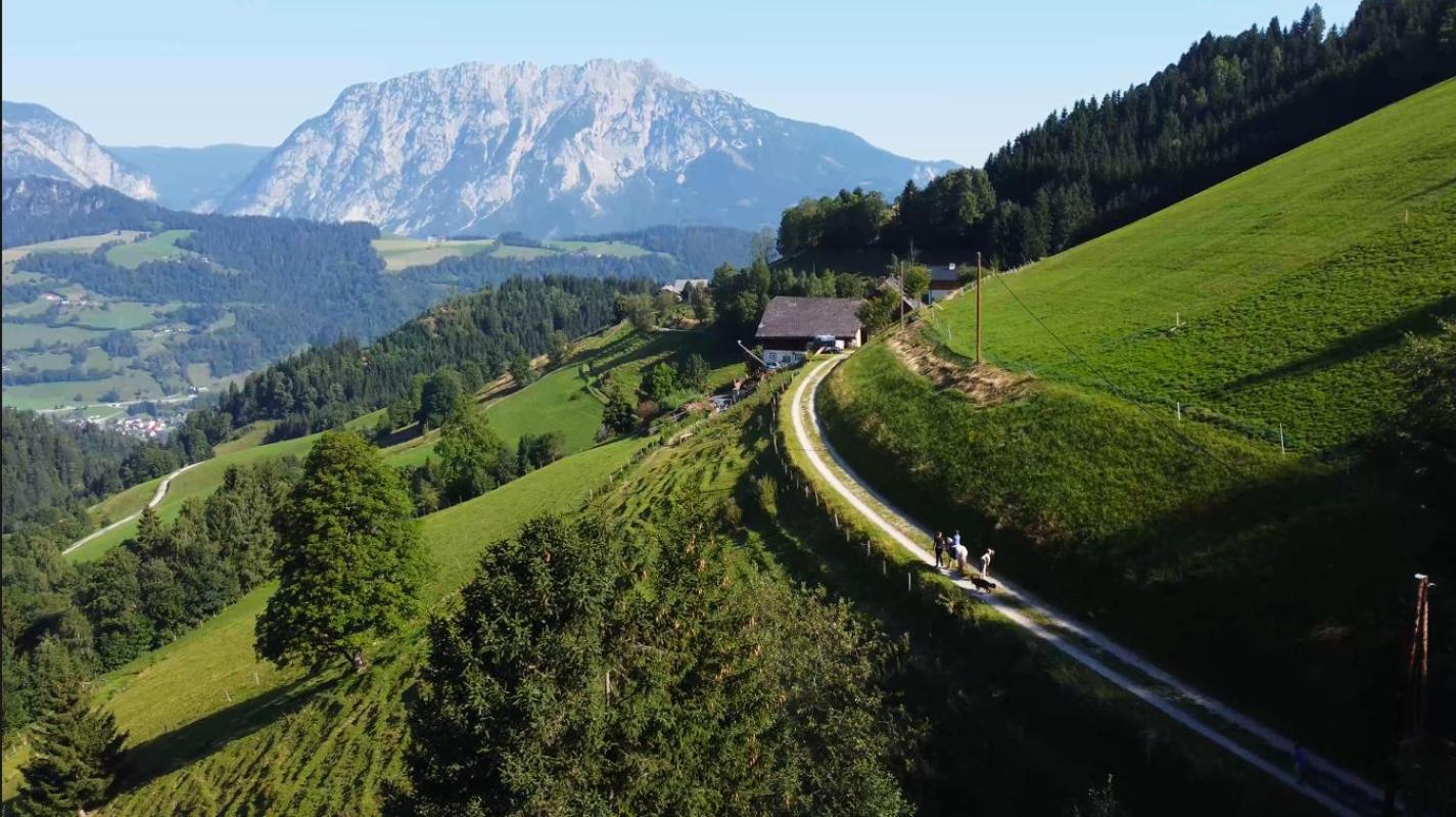 Chalet Leo Michaelerberg Екстер'єр фото